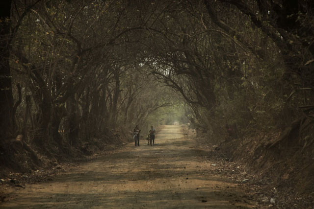 Camino de acceso al cantón del municipio de Jiquilisco, Usulután, donde Beatriz creció con sus hermanos.