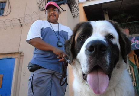 Mario Castro, con uno de los perros que entrena. Foto Mauro Arias