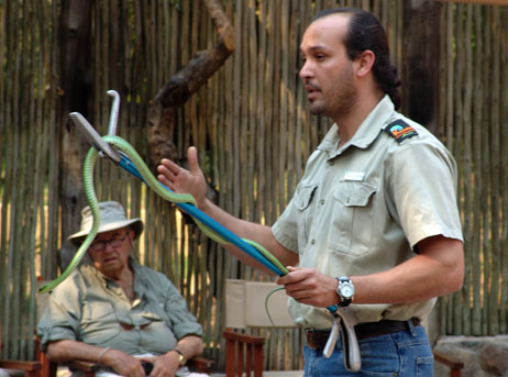 José Roberto Bolaños muestra a un grupo de turistas estadounidenses una serpiente arborícola venenosa en una granja de reptiles en Sudáfrica.   Foto cortesía Roberto Bolaños