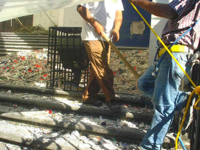 El pasado viernes 30 de diciembre, un grupo de trabajadores quitaron los mosaicos de la catedral, por orden de la iglesia católica. Familiares de Fernando Llort llegaron a recoger algunos restos, pero la mayoría fueron desechados en un camión que los tras
