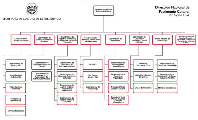 Organigrama de la Dirección de Patrimonio Cultural. Cuenta con 8 coordinaciones y 24 dependencias.