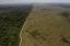 Contraste entre un sector de la selva de la Amazonia cerca de Novo Progresso que no ha sido afectado por al deforestación y otro (a la derecha) en el que no queda un solo árbol en pié. (AP Photo/Andre Penner)