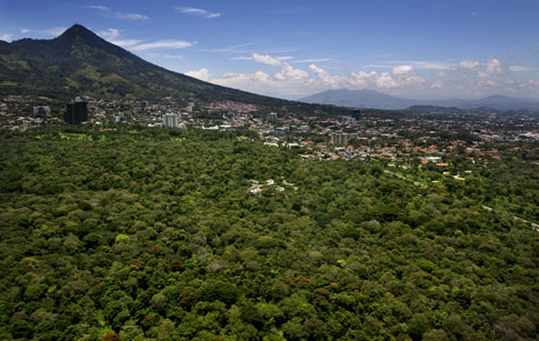 El espino es la más grande reserva forestal de San Salvador. Foto Bernat Camps